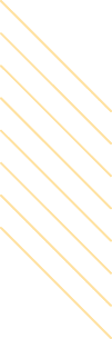 shape 1